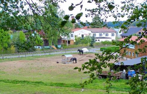 Pferdehof